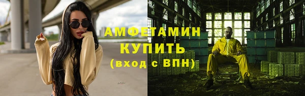 прущая мука Вяземский