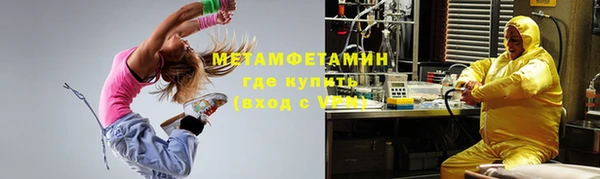 индика Вязники
