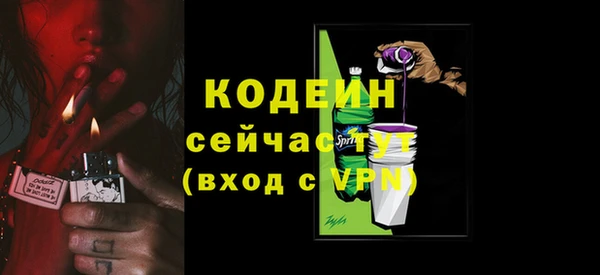 прущая мука Вяземский