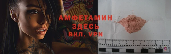 индика Вязники