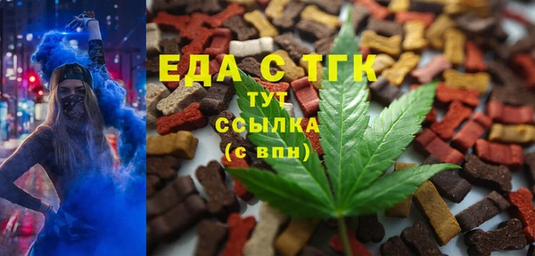 индика Вязники