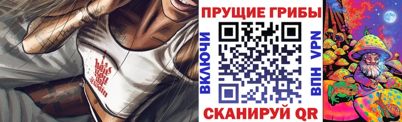 Псилоцибиновые грибы мухоморы  Дмитров 