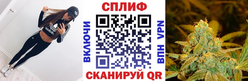 blacksprut маркетплейс  Дмитров  МАРИХУАНА гибрид 